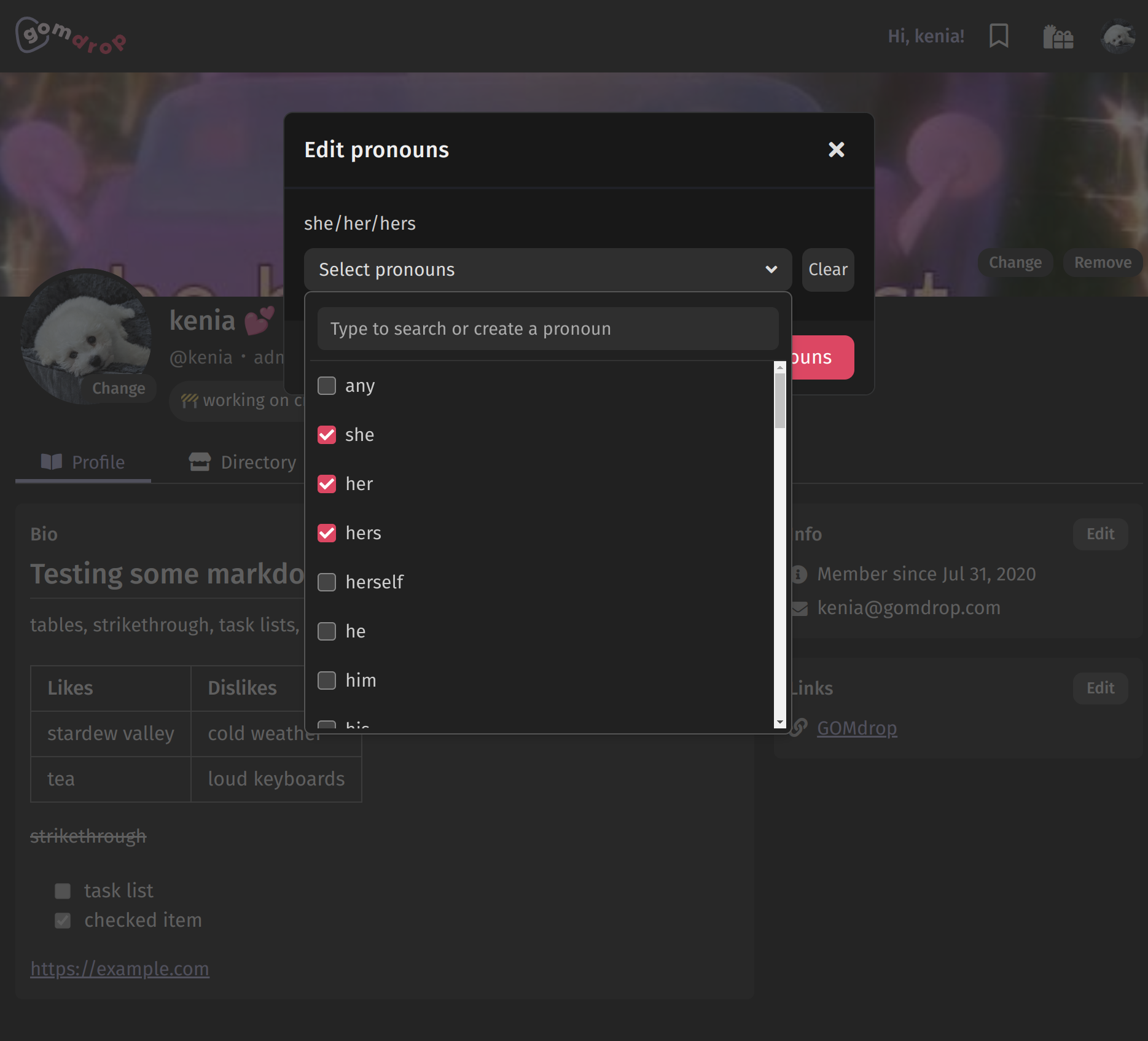screenshot showing the pronoun options in the gomdrop pronoun selector